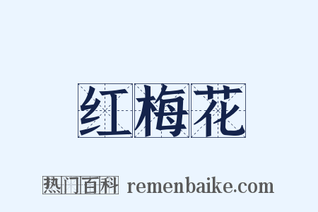 红梅花是什么意思的图片
